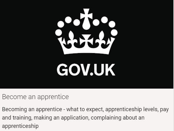 Screenshot of the Government apprenticeships portal