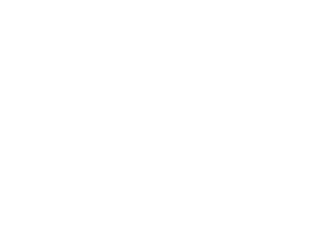 White envelope icon