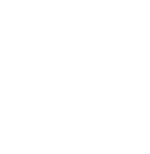 White location pin icon