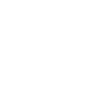 White phone icon