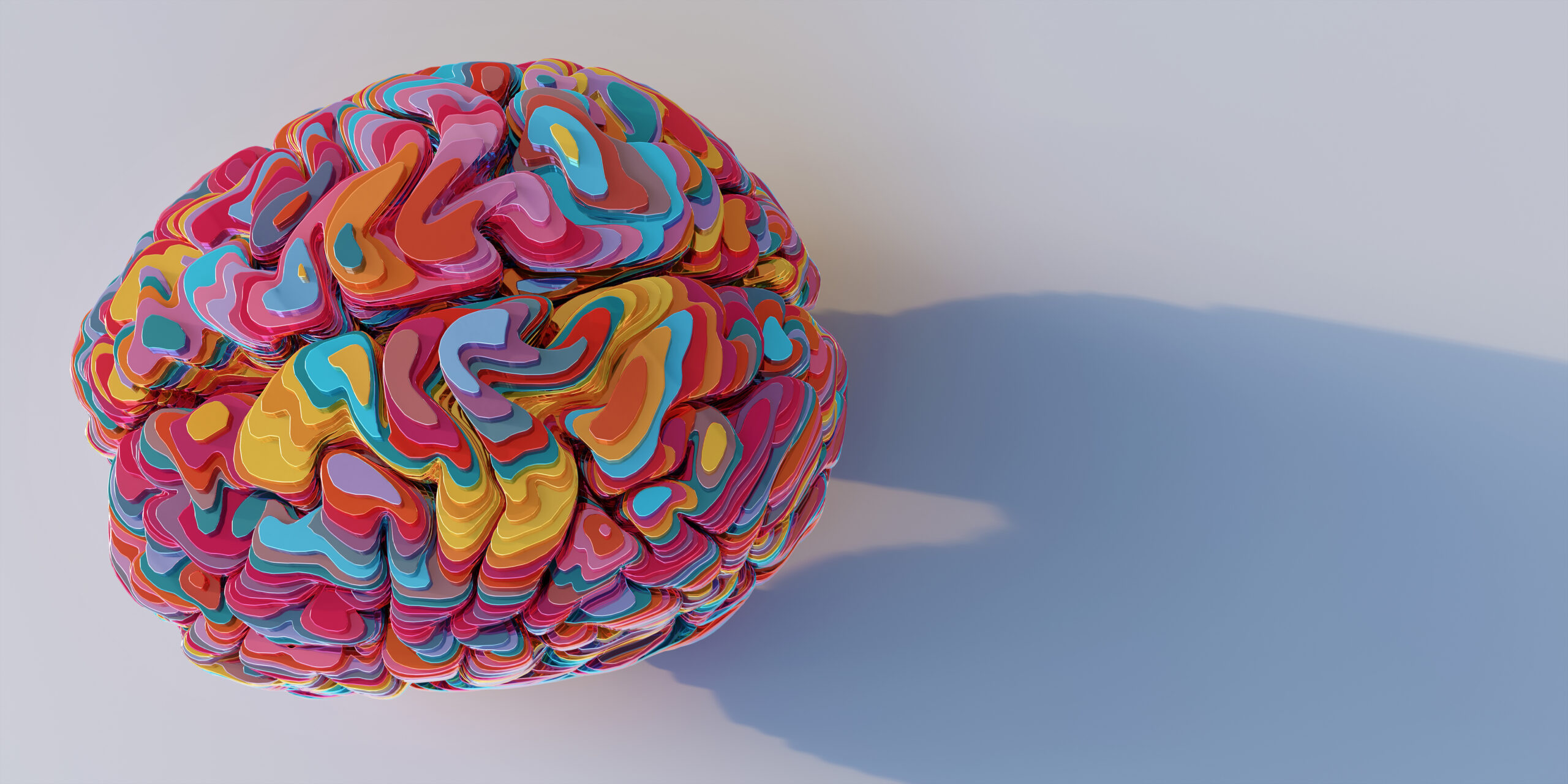 A model of a human brain viewed from above, sliced into many horizontal multi-coloured layers of shiny metallic material, stacked up to form brain model. The model sits on a plain white surface with shadow.